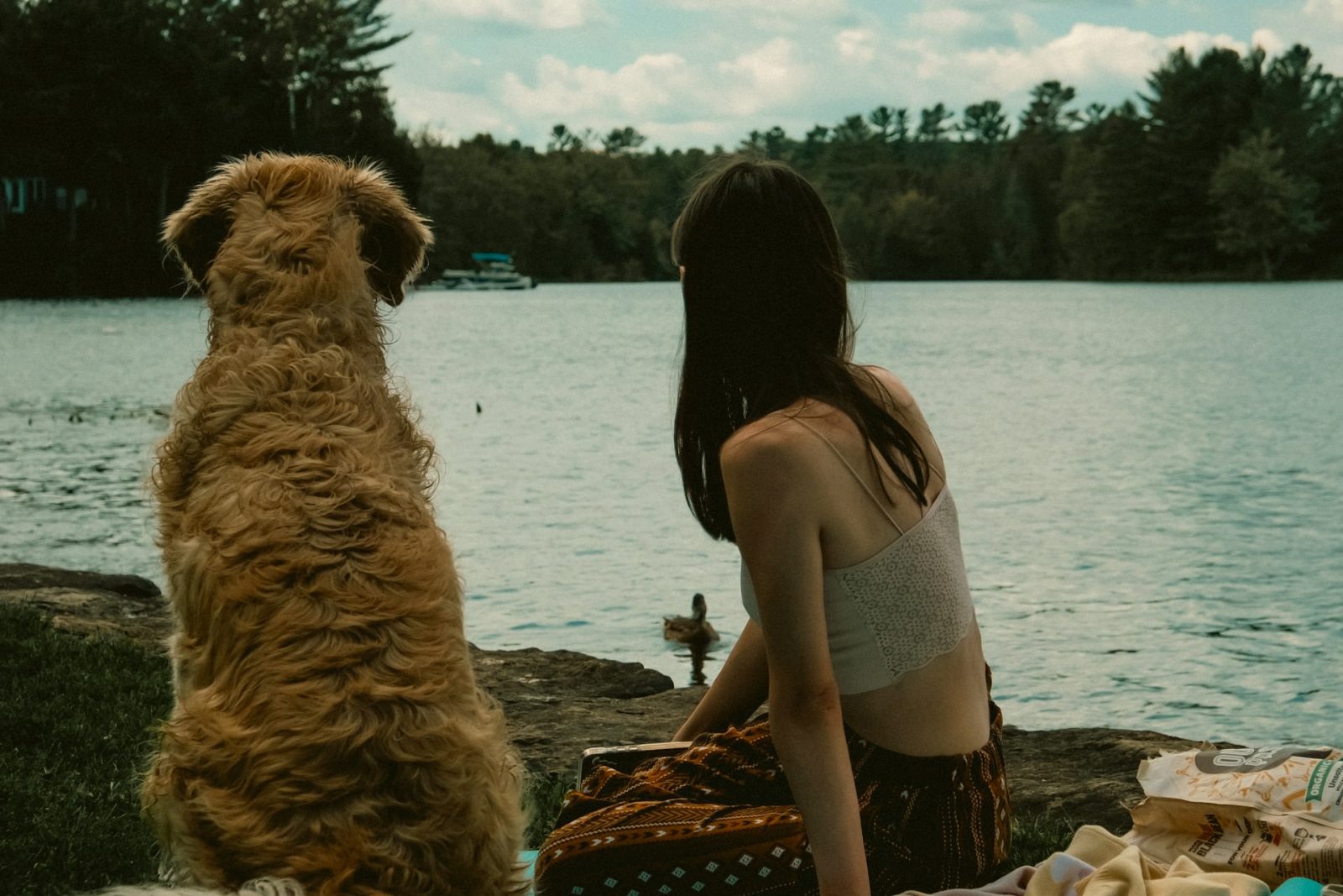 legjobb kutyás film