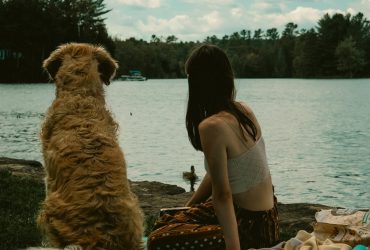 legjobb kutyás film