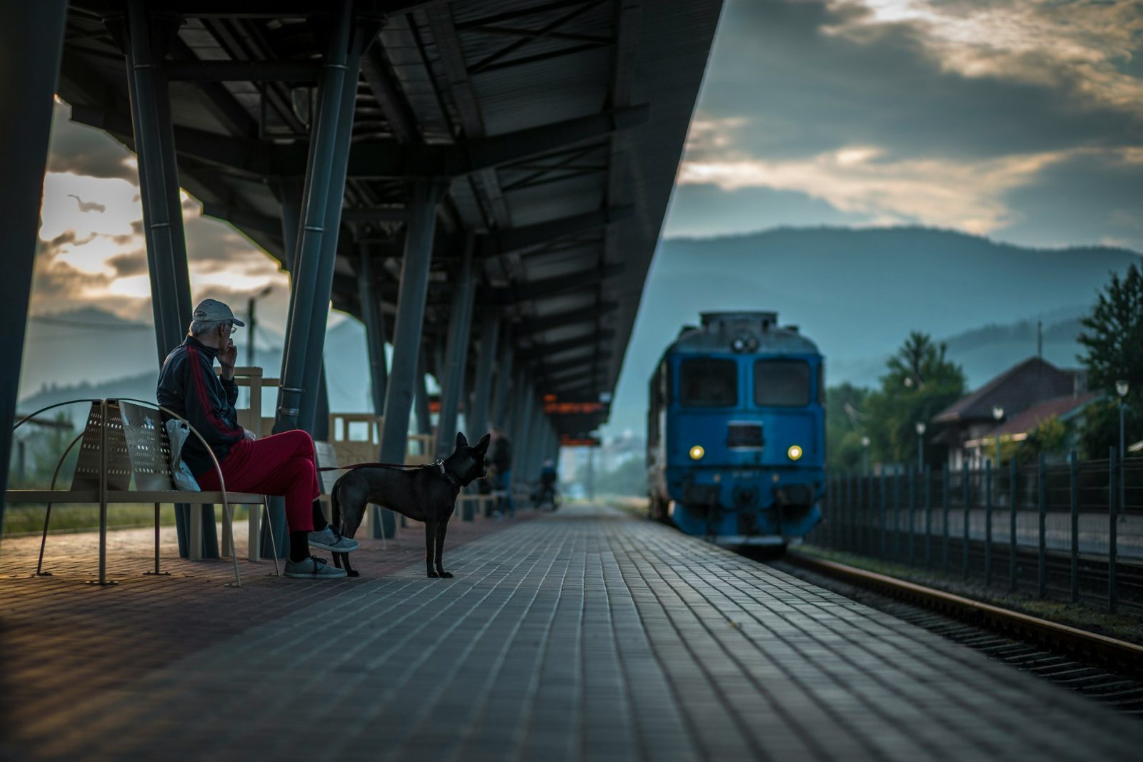 Így szállítsd a kutyát a vonaton
