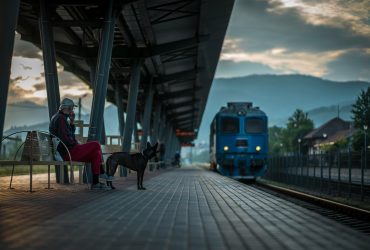 Így szállítsd a kutyát a vonaton