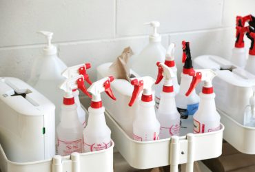 Így távolítsd el a kutyapiszkot a szőnyegből
