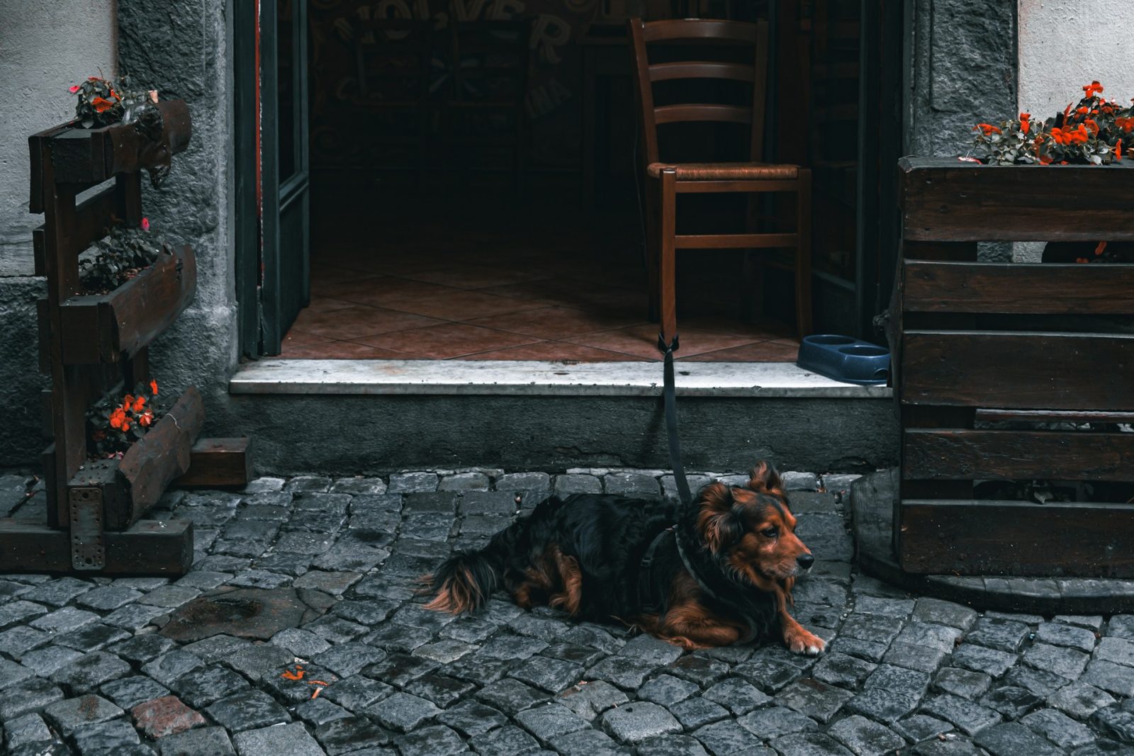 Mi történik, ha gazdaváltásra kerül sor?